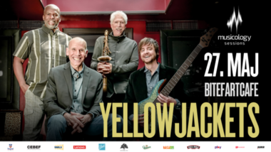 YELLOWJACKETS