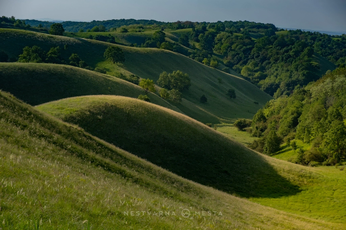 Zagajička brda